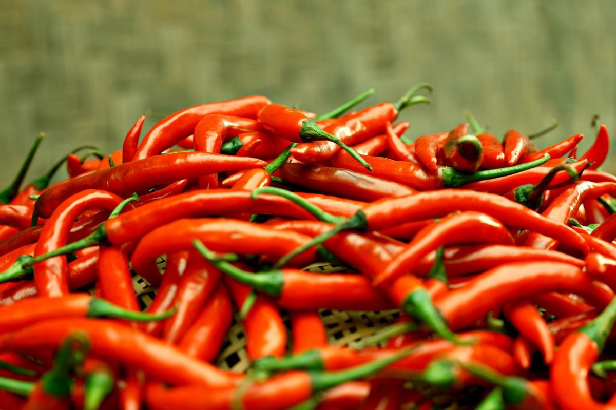 Quel est le piment le plus fort du monde ?
