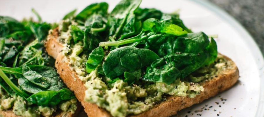 Cooking Fresh and Wholesome from Garden to Plate